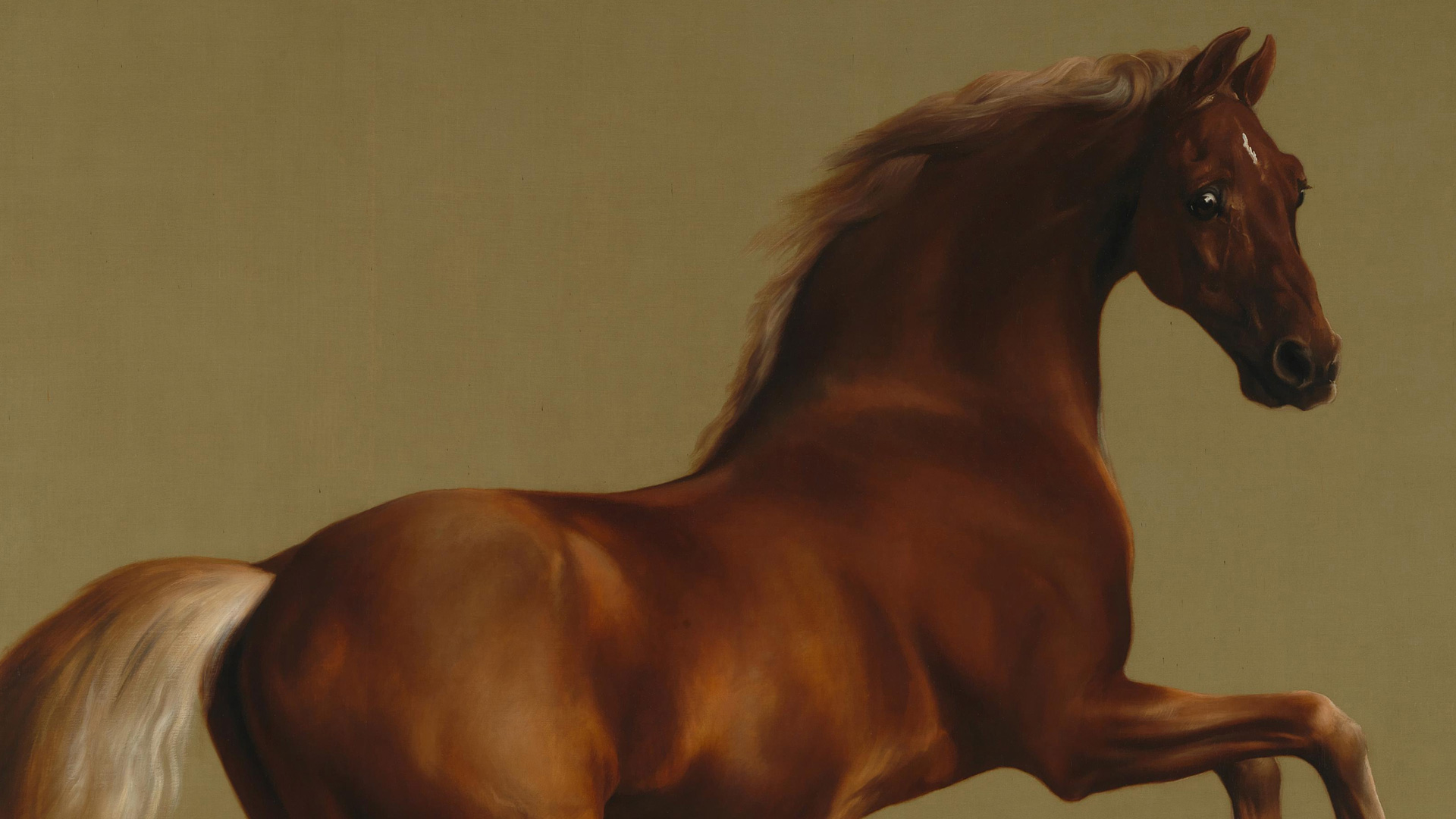 Horse fun with James